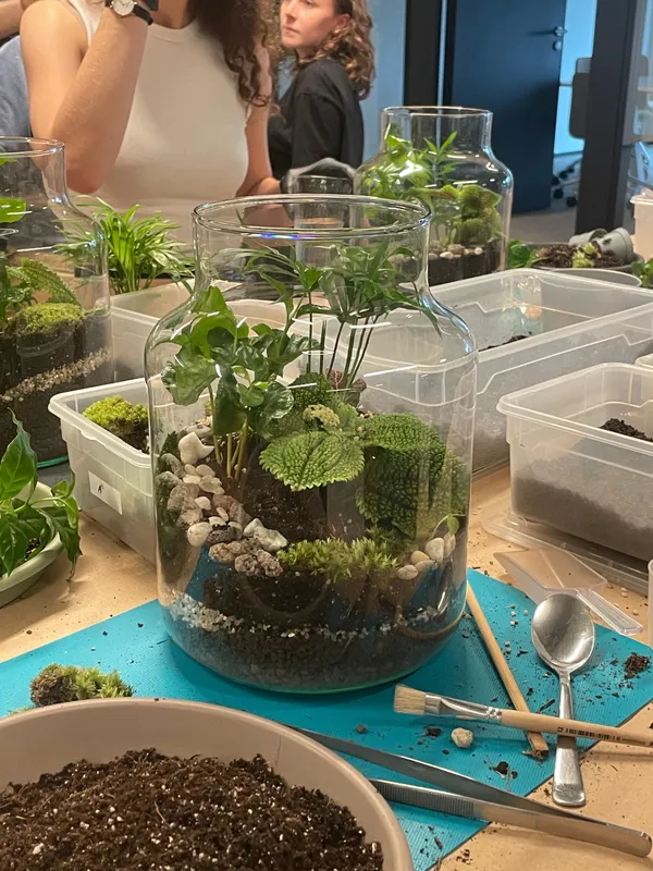 A finished glass jar terrarium layered with gravel, soil, moss and small tropical plants beside brushes, tweezers and a spoon