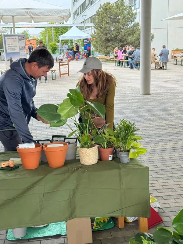 Two hosts arranging potted plants, terracotta pots and care cards on a green-covered market table in a company courtyard