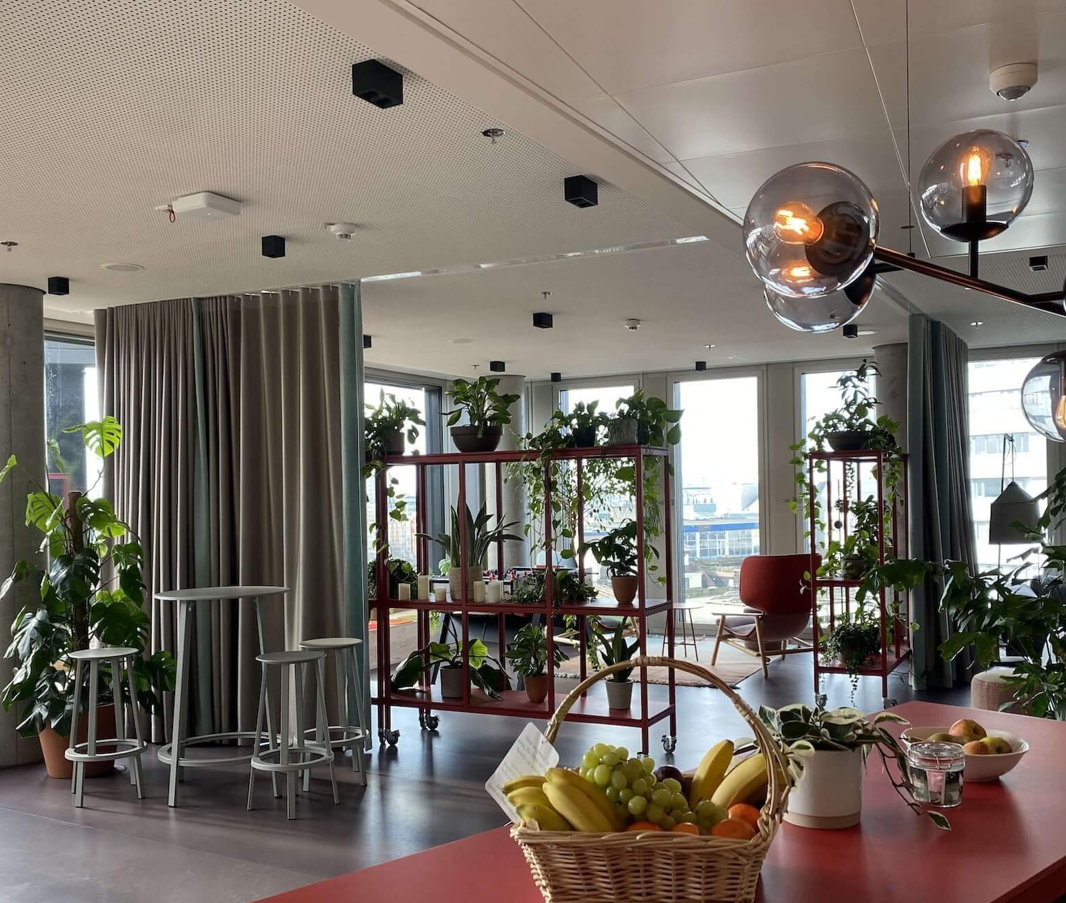 Office lounge and kitchen area with shelving units filled with plants, plus tabletop and floor plants