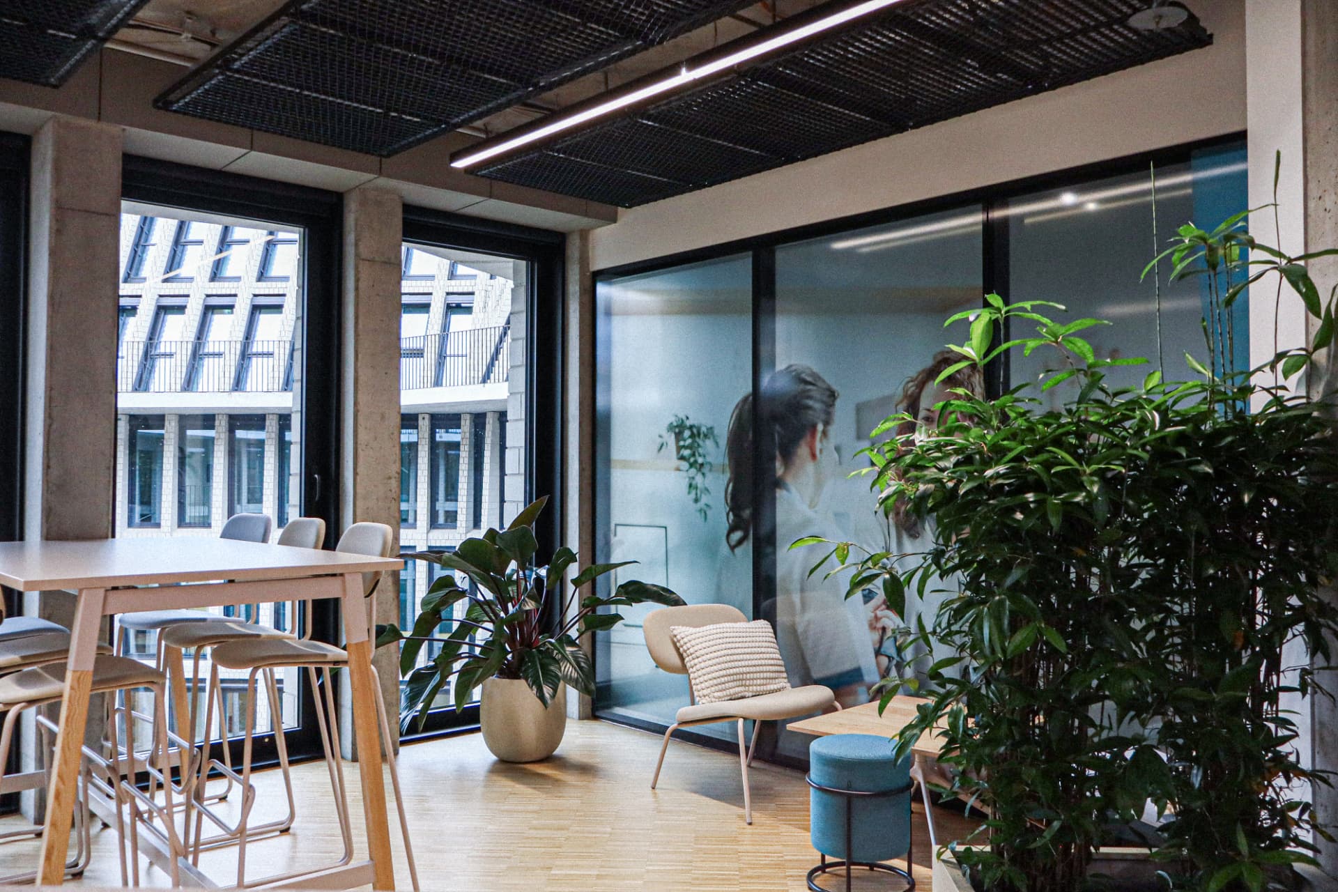 Office plants beside a shared kitchen and seating area at Doctolib Berlin