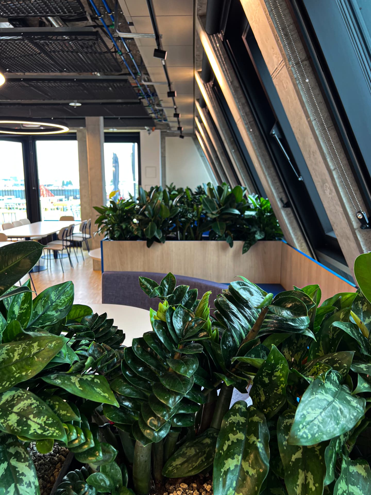 Full integrated plant boxes across a Doctolib shared workspace