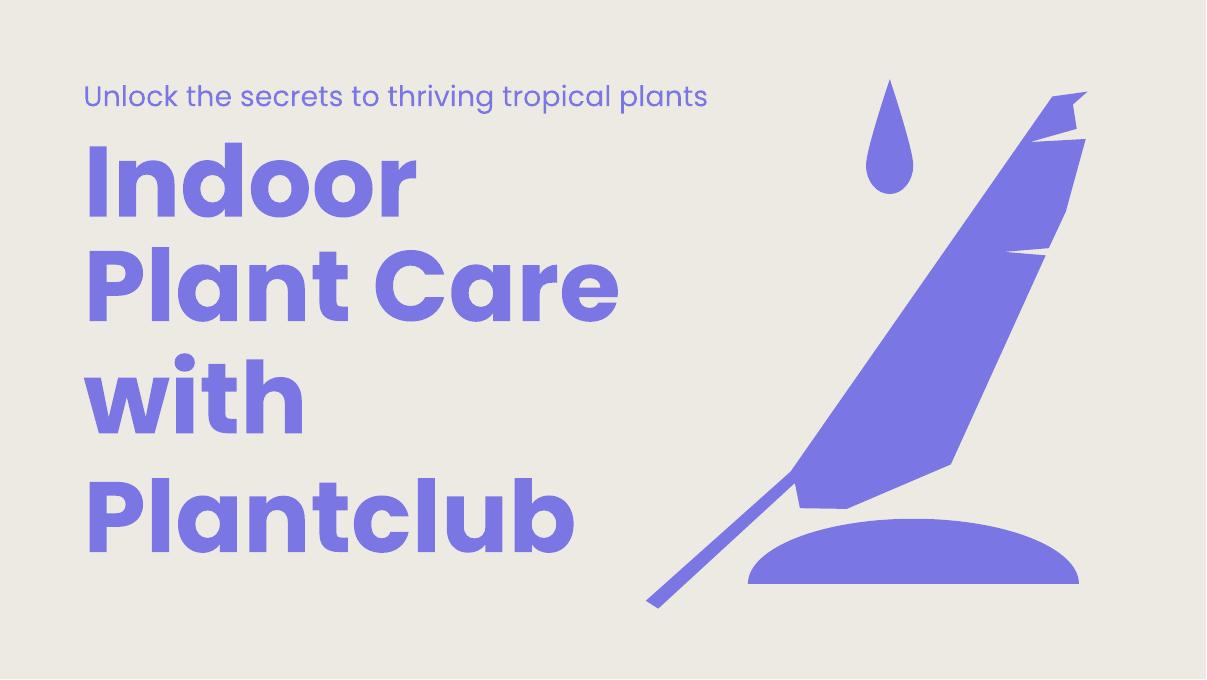Plant Care Masterclass