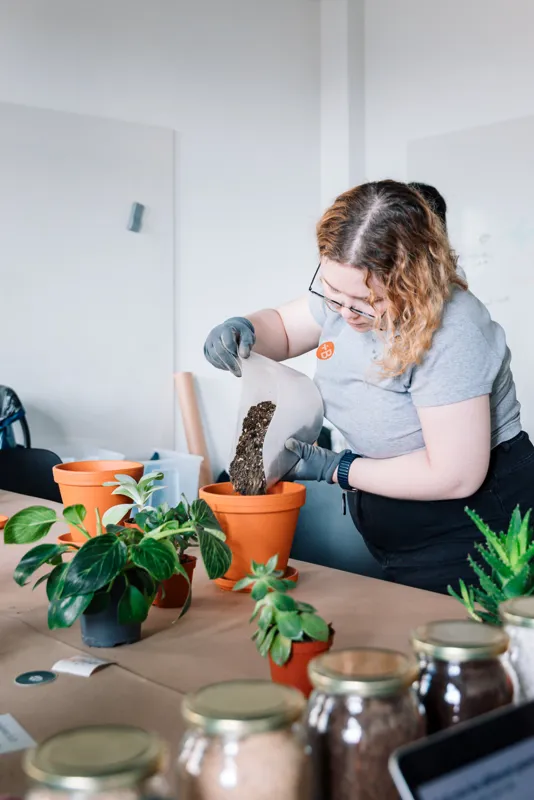 Gloved hands pouring potting mix into a terracotta pot on a paper-covered table lined with houseplants and jars of substrate