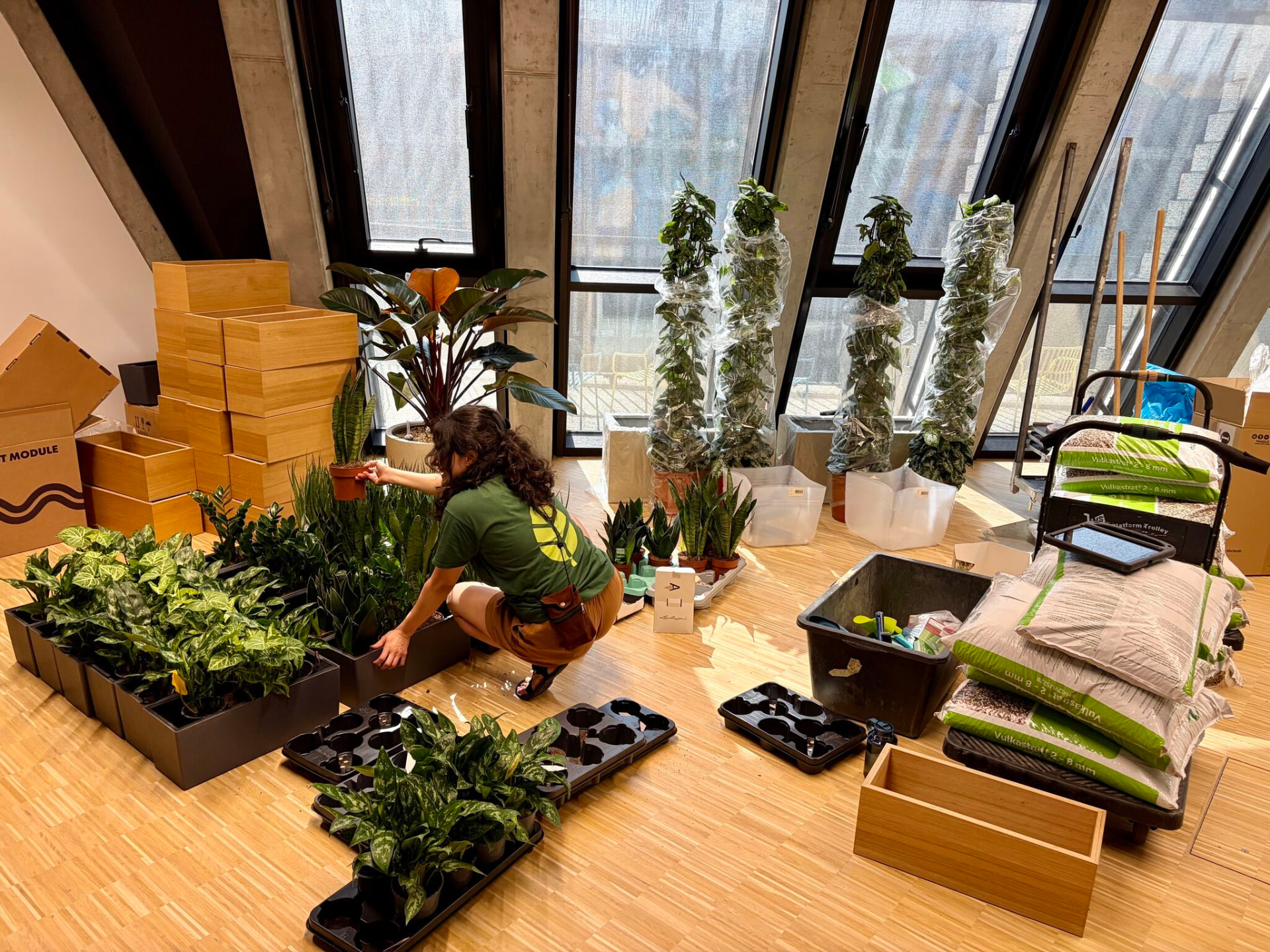Plantclub team preparing plants and planters on site at Doctolib