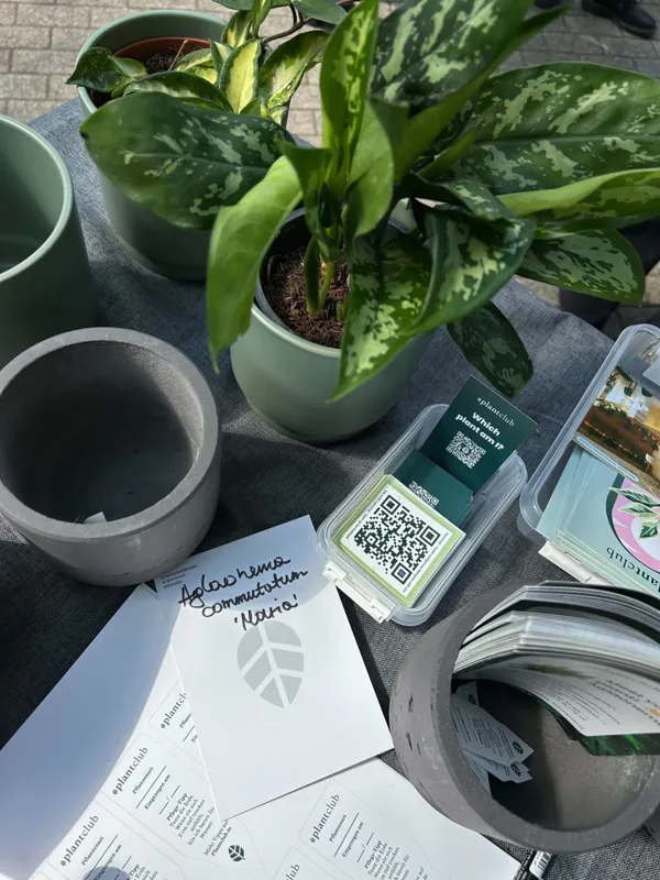 A potted aglaonema beside empty pots, handwritten plant name card, care sheets and QR code cards on a market table