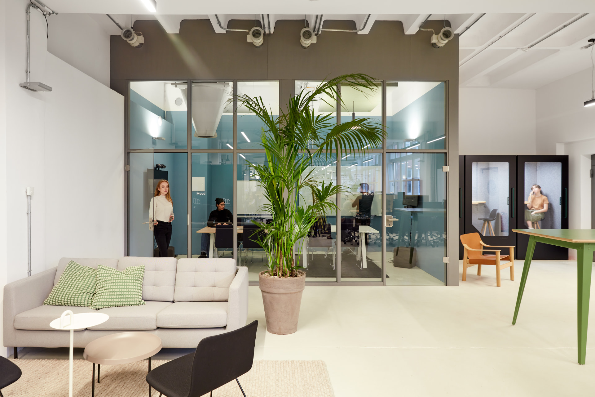 A bright office lounge at Moss with a tall areca palm in a terracotta pot beside a sofa and glass meeting rooms
