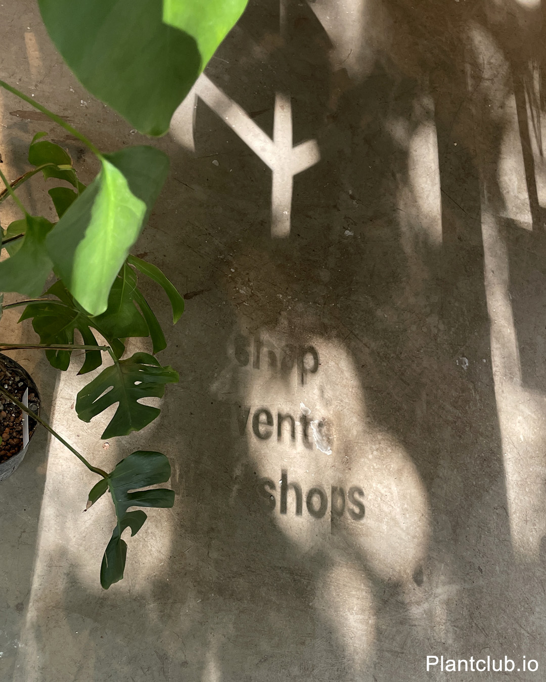 Shop, events, workshops signage shadow on concrete floor