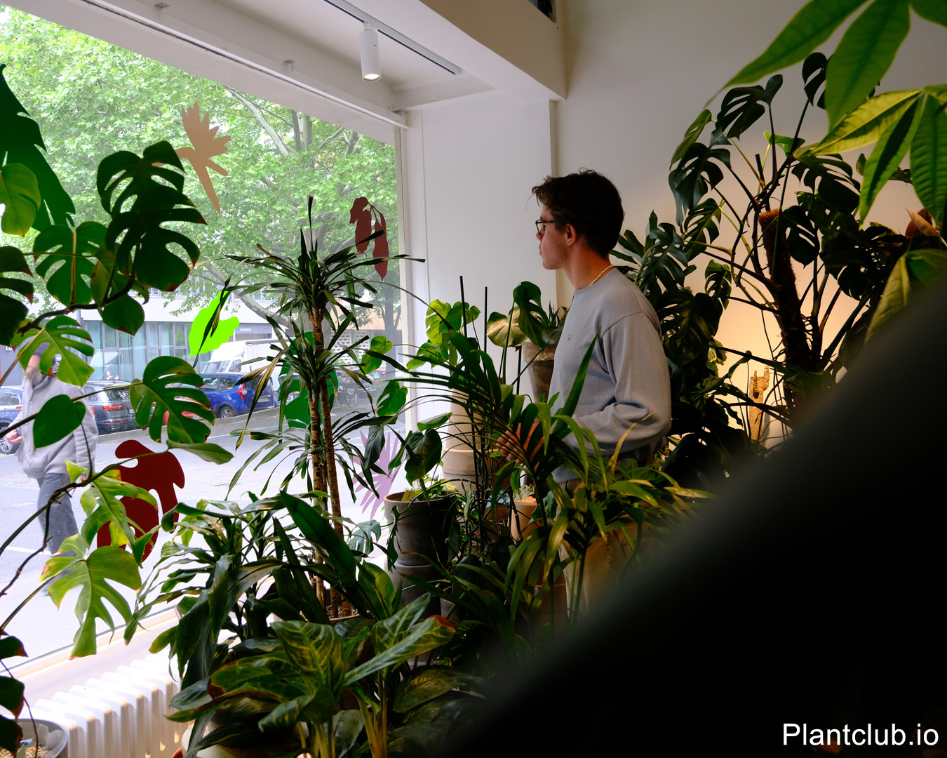 Customer browsing plants by the window at C2 Studio