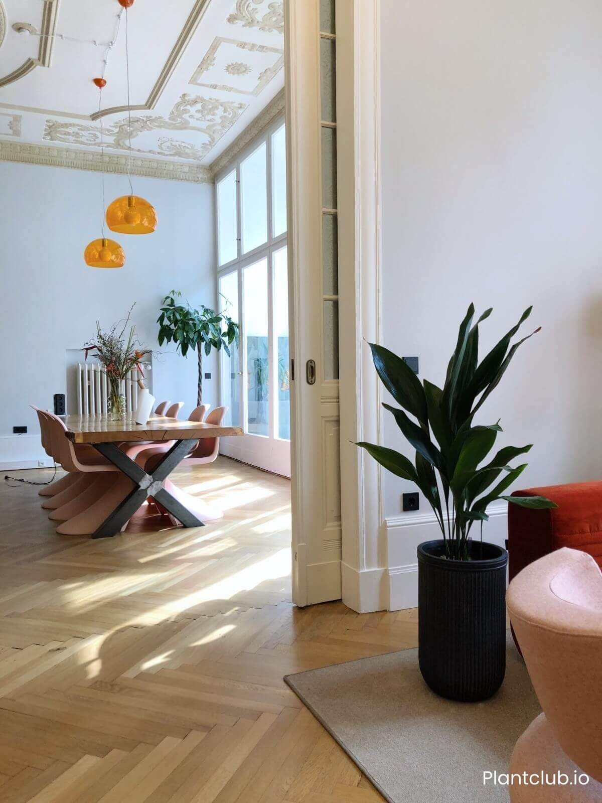 Office plants in Berlin