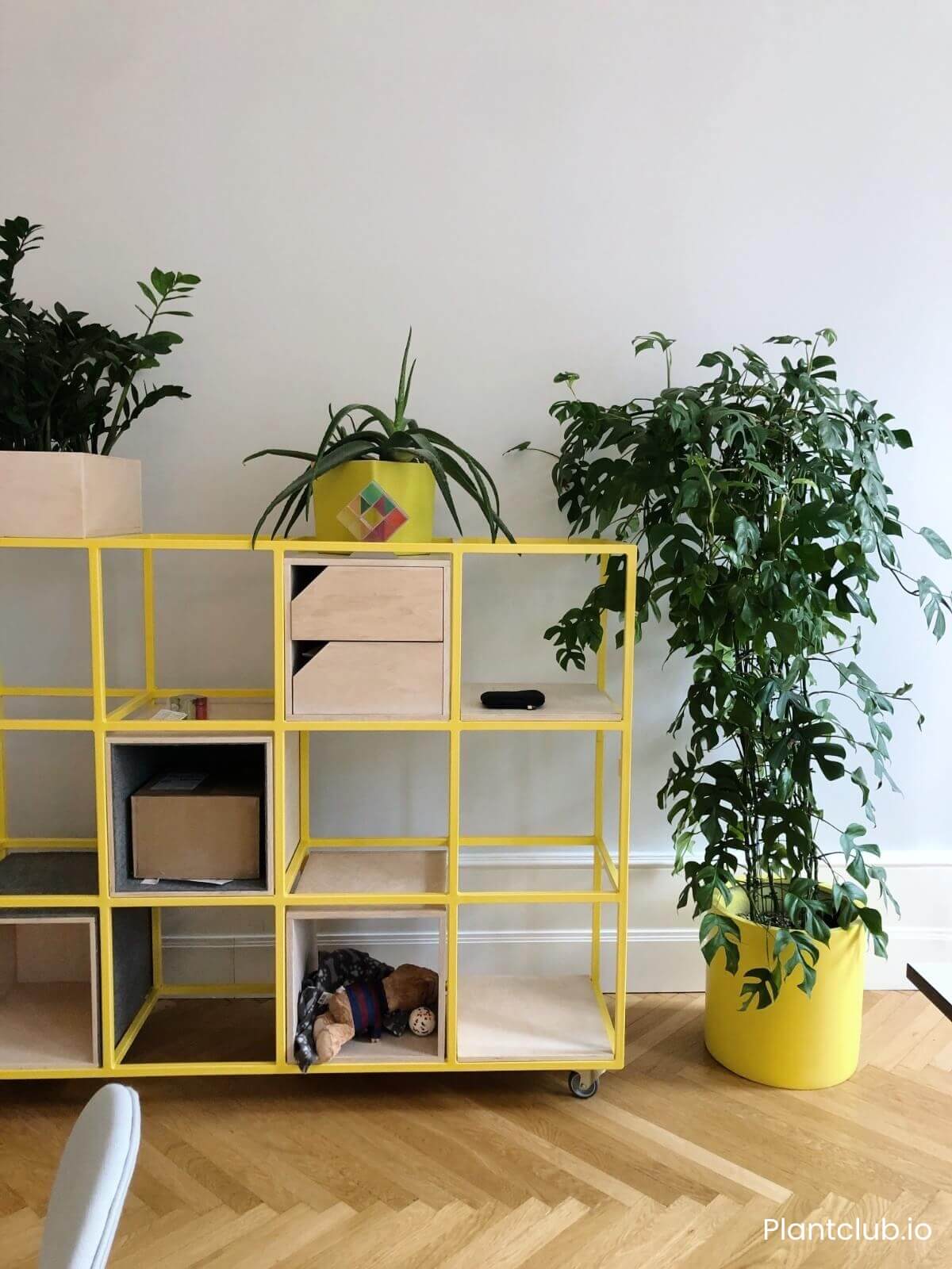 Green office in Berlin