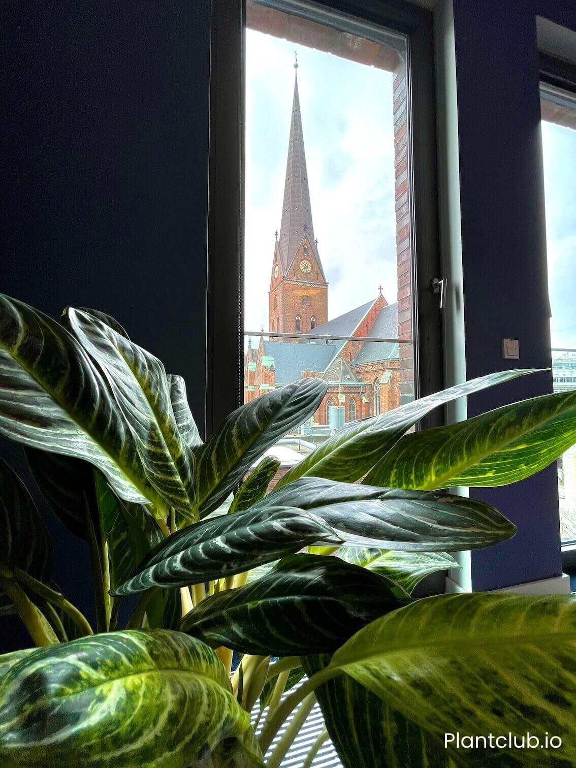 Plants in Hamburg workspace